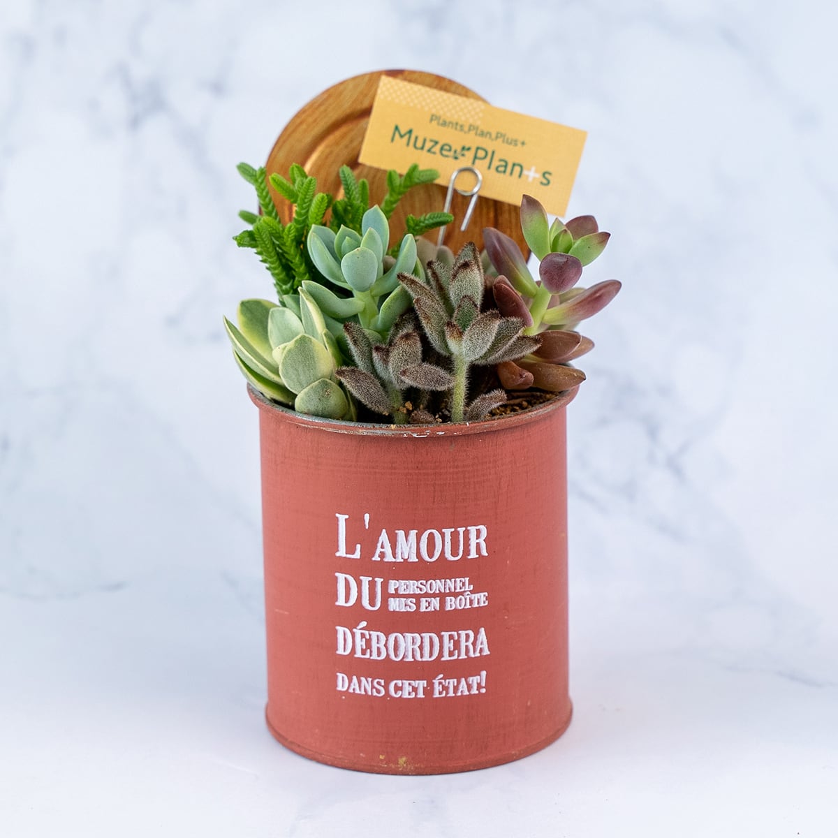 キャンニングポット | Muze Plan+s