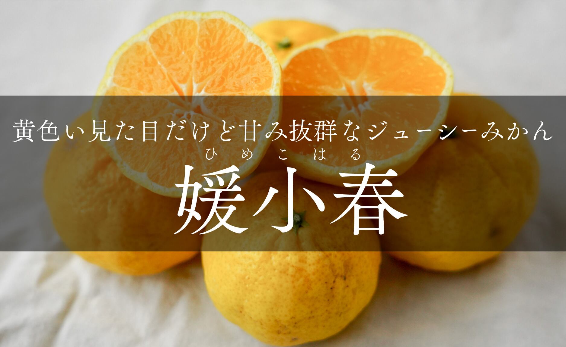 2026年売り切れ】えひめだけの柑橘3兄弟「媛小春」1kg~10kg | わらしべ。
