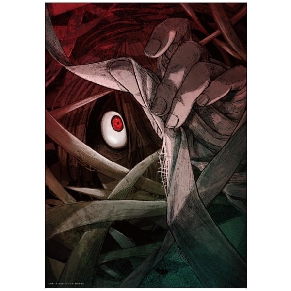 鬼太郎誕生 ゲゲゲの謎 B2 ポスター 映画鬼太郎誕生ゲゲゲの謎 B2ポスター アニメージュ2024年11月号