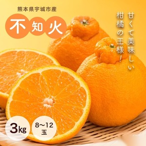 熊本県宇城市産 不知火 3kg 8玉～12玉　