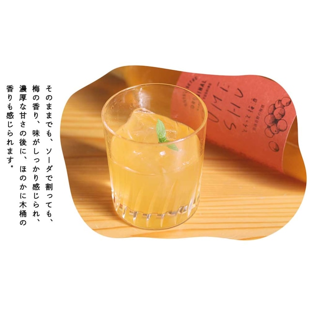 日本酒＆梅酒ギフトセット（各720ml）　【送料無料】　