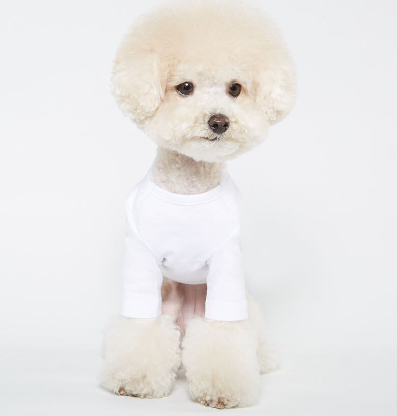 【SALE】 無印Tシャツ S ~ 2XL 3color / 犬服 犬 小型犬 中型犬 大型犬 ペット ドッグウェア 部屋着 b47