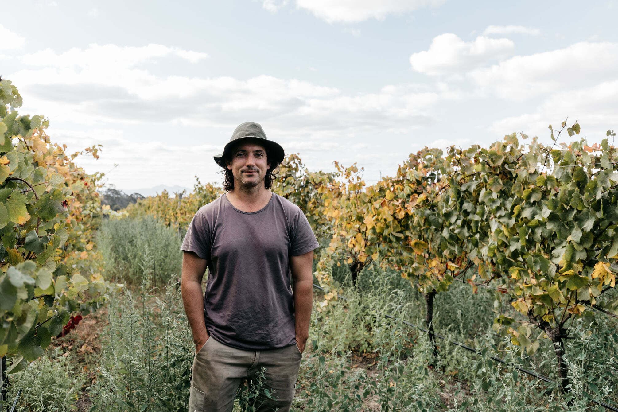 エクスプレス・ワインメーカー・シュナン・ブラン | Wine Shop May Shiraz