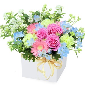 3月オススメ商品⑥　アレンジメント