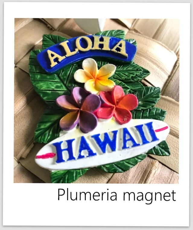 ハワイ マグネット　プルメリア