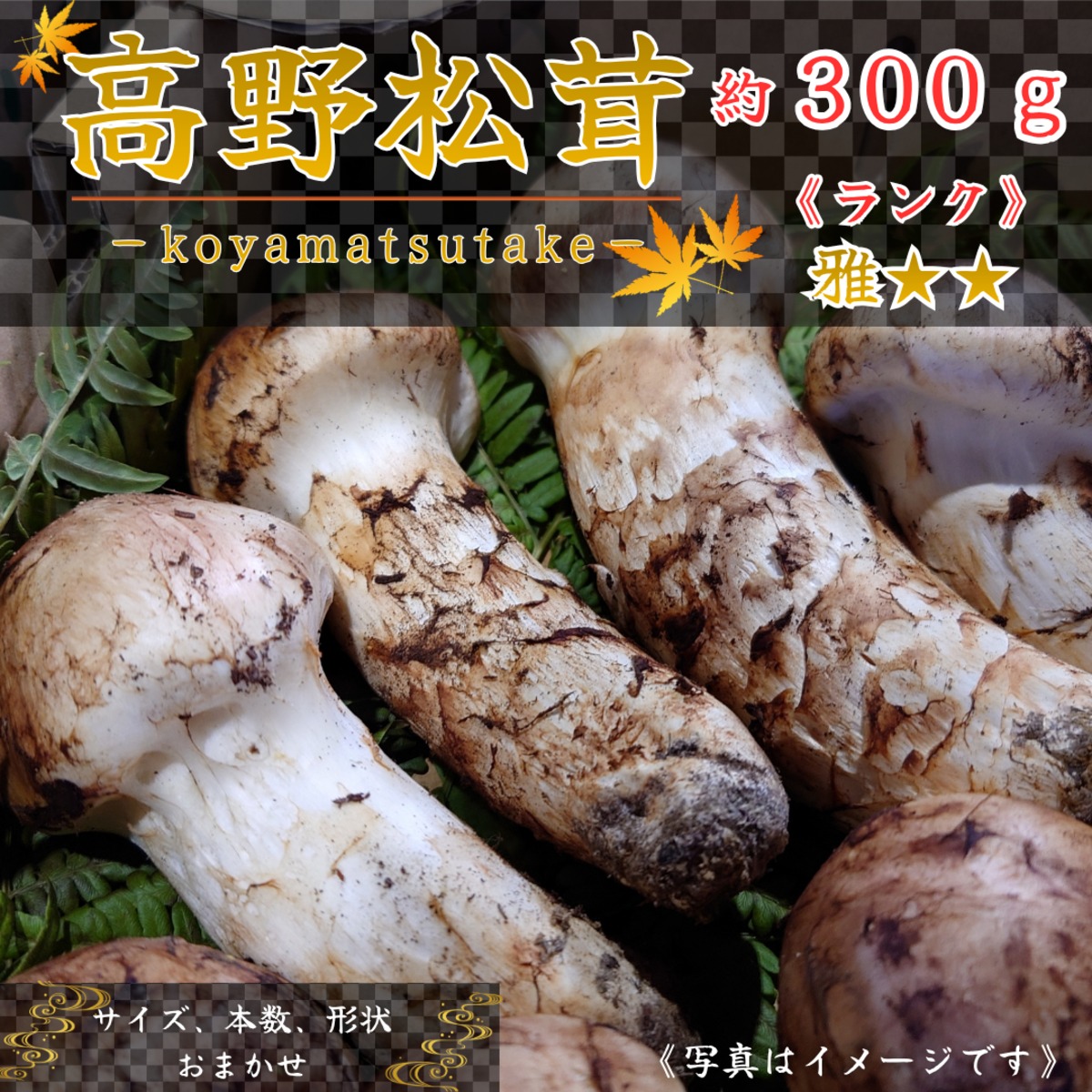 2026年10月上旬から順次発送】国産松茸 300g ランク《》 無くなり次第