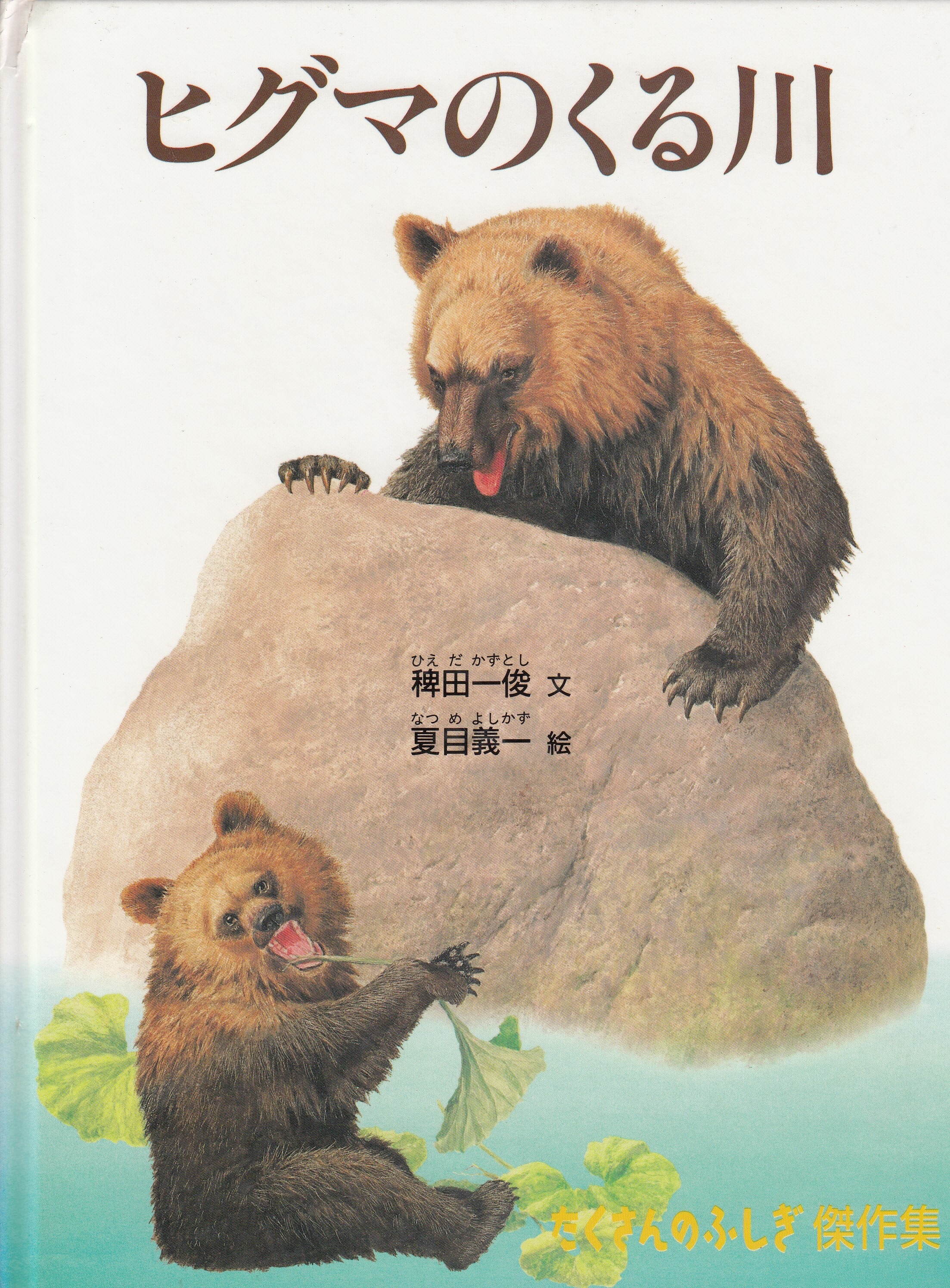 子ども たくさんのふしぎ ヒグマのくる川 稗田一俊 夏目義一 福音館書店