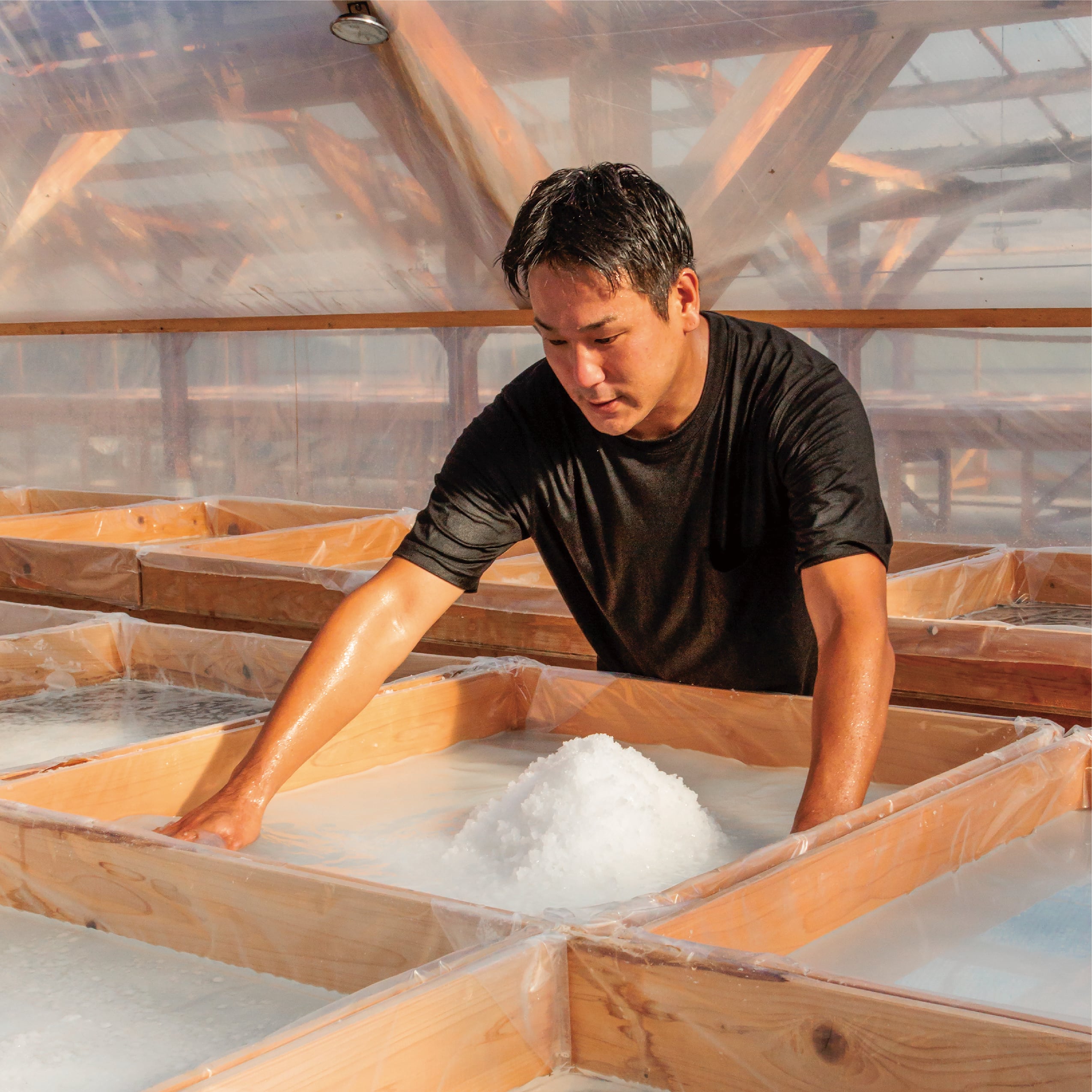 【専用】ソルト様㉕ Amazon.co.jp: Pmjekiyh 30-0300 Xシリーズ ワイドバンド O2 空