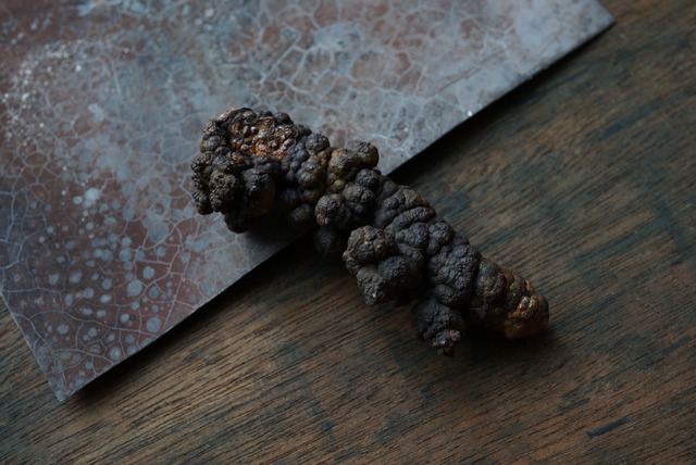 リモナイト Goethite var. Limonite 1554