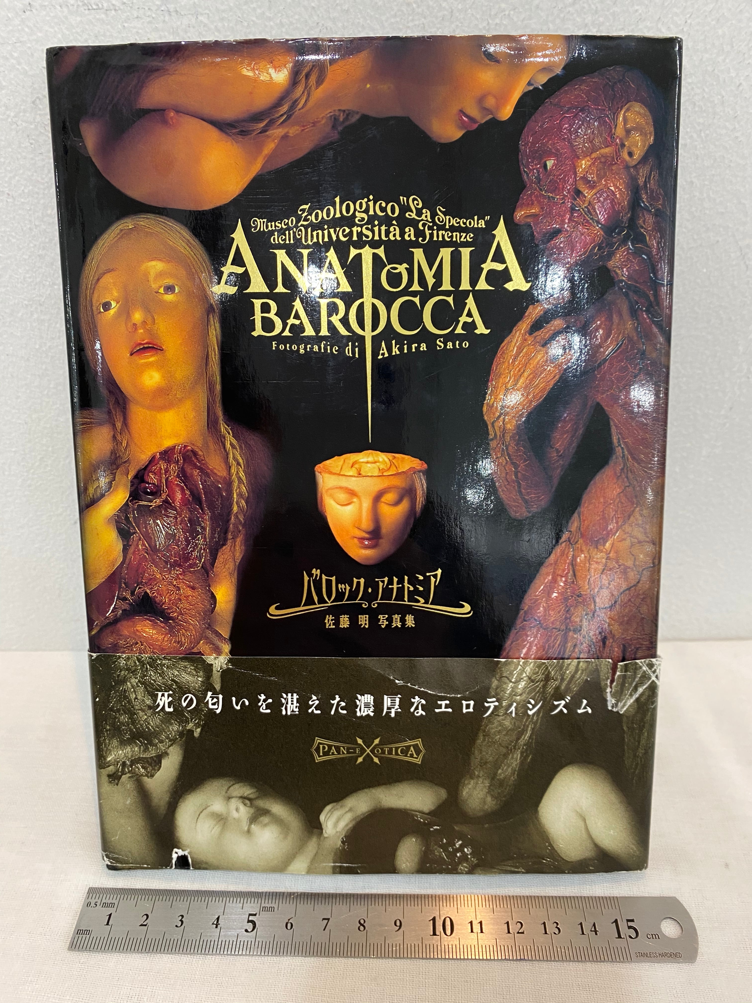 ANATOMIA BAROCCA アート・デザイン ANATOMIA BAROCCA - Akira Sato - Timeless-shop