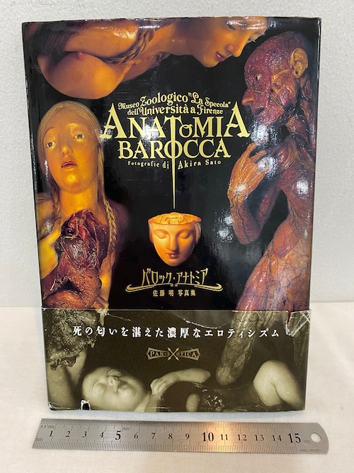 解剖学蝋人形　バロック・アナトミア　ANATOMIA BAROCCA