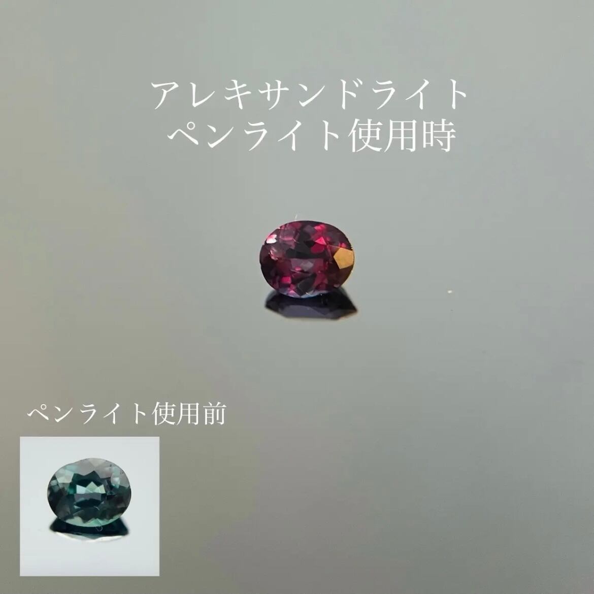 保坂屋創業23周年アニバーサリープライス‼️待望のペンライト3本セット‼️