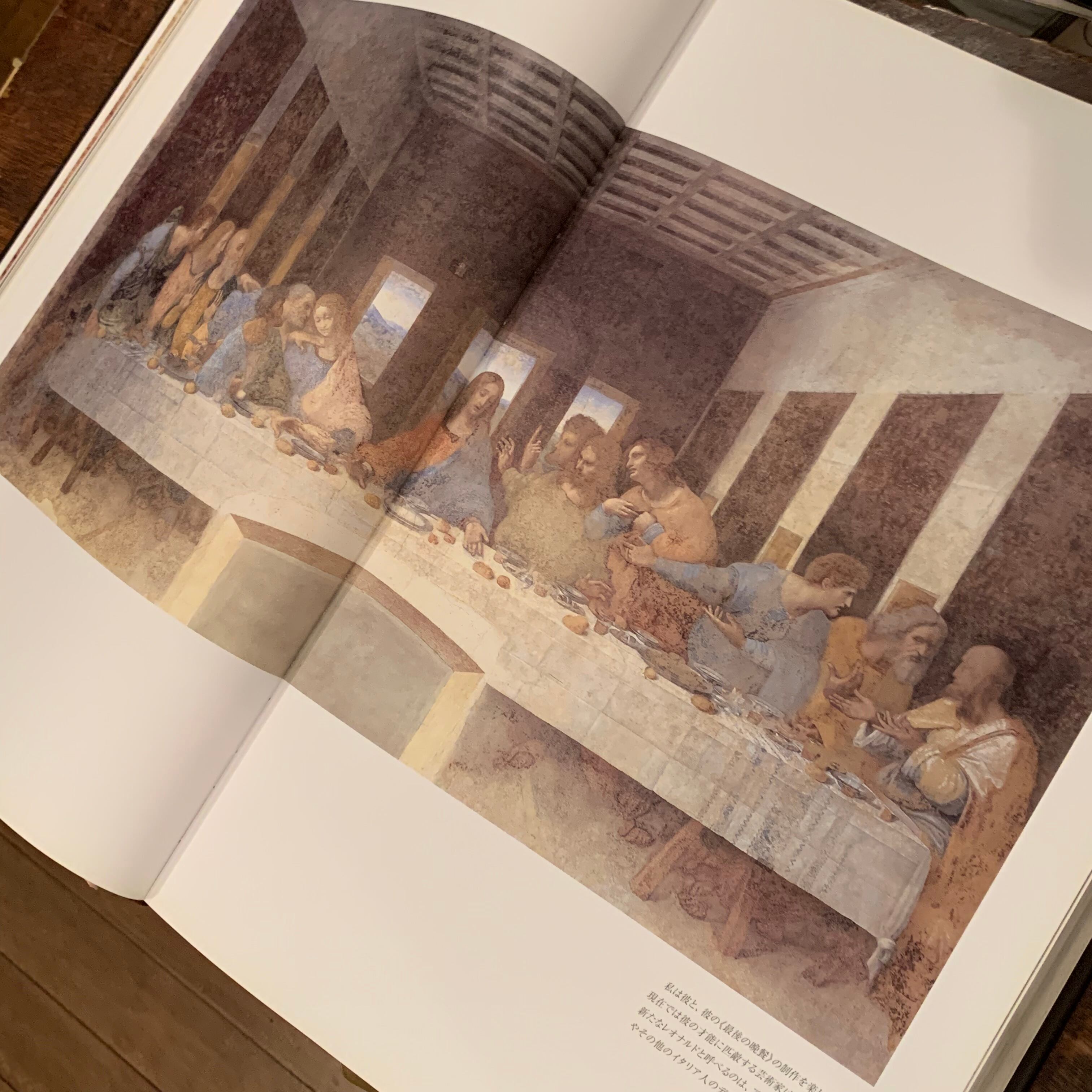 レオナルド・ダ・ヴィンチ全絵画作品・素描集 | Pay ID