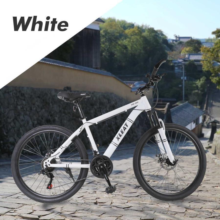 BLKMRKT 言い表し RIOT マウンテンバイクフレーム