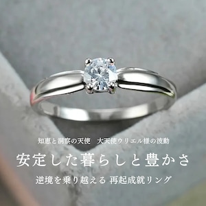 逆境を乗り越える 安定した暮らしと豊かさを取り戻す 再起成就リング