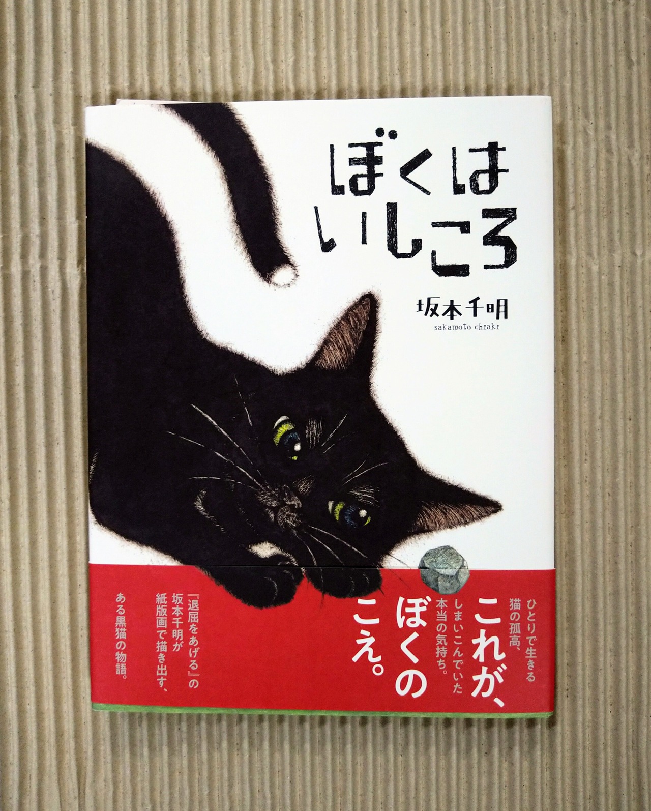 ぼくはいしころ