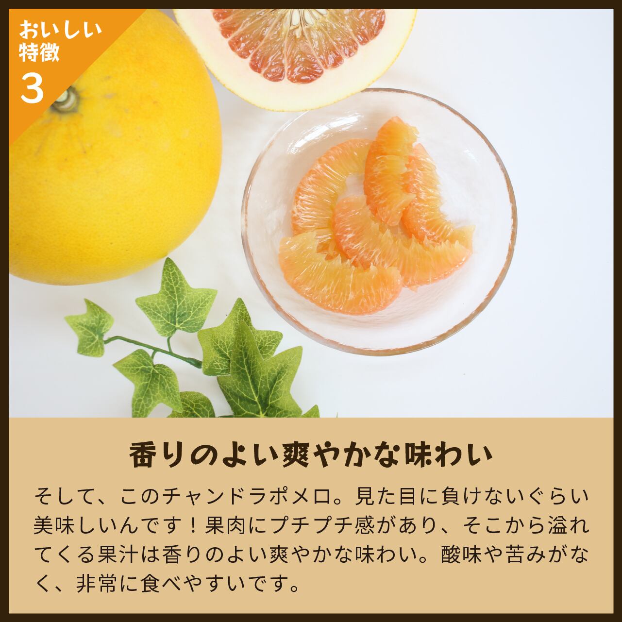 チャンドラポメロ3kg 家庭用【送料無料】 | 蔵出しみかんの産地直送