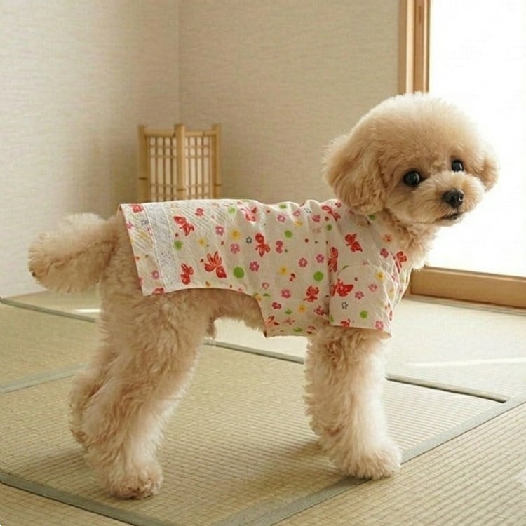 ハンドメイド 総小花柄 フリル付き立ち襟前開きワンピース 犬服 楽天