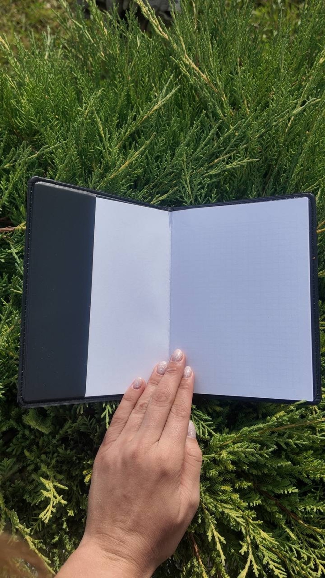 ペトリキフカカバー＋ノート 18 cm（ホメンコ） - 6