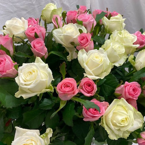 白・ピンクのバラ25本ずつアレンジしたバラ50本のブーケ（写真の商品）