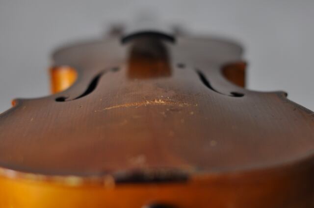 violin