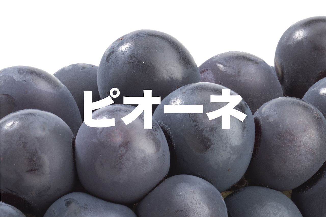 【黒系】ピオーネ【約2kg(3〜5房)9月上旬〜中旬】