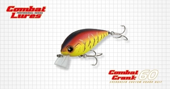 ビッグバス bigbass
