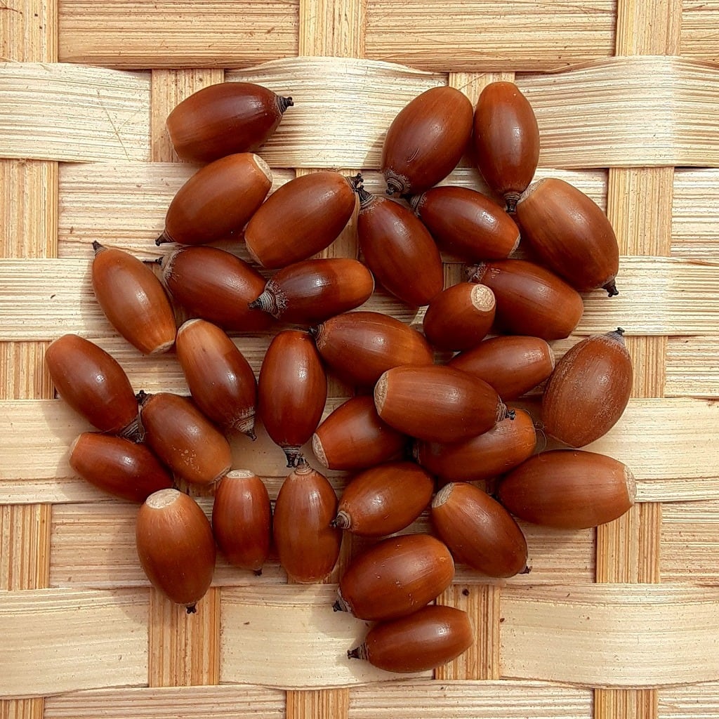 87f4ed45df574045f56777d589667f