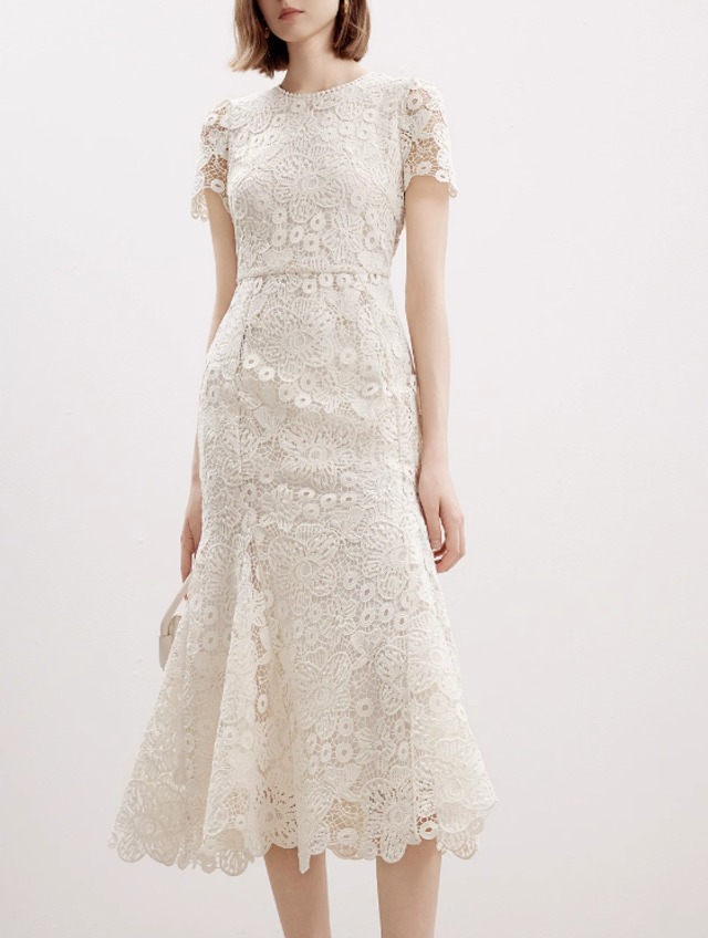 Precious Embroidered Dress