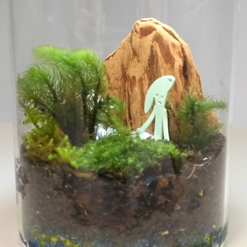 2026年 新春ワークショップ 苔と向き合う、静かなはじまり　2026年1月20日（火）