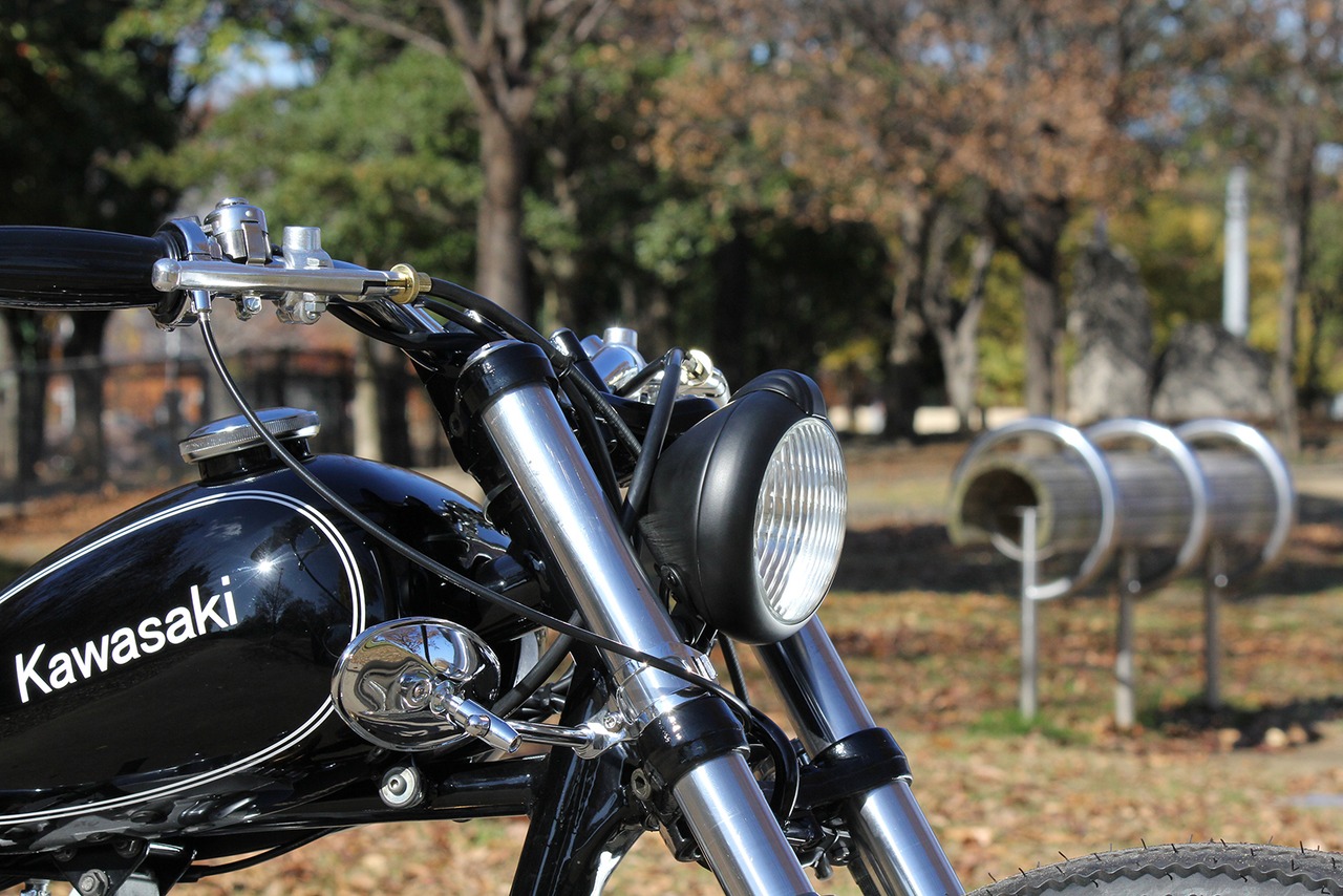 Fork Clamp on Mirror Oval CHROME