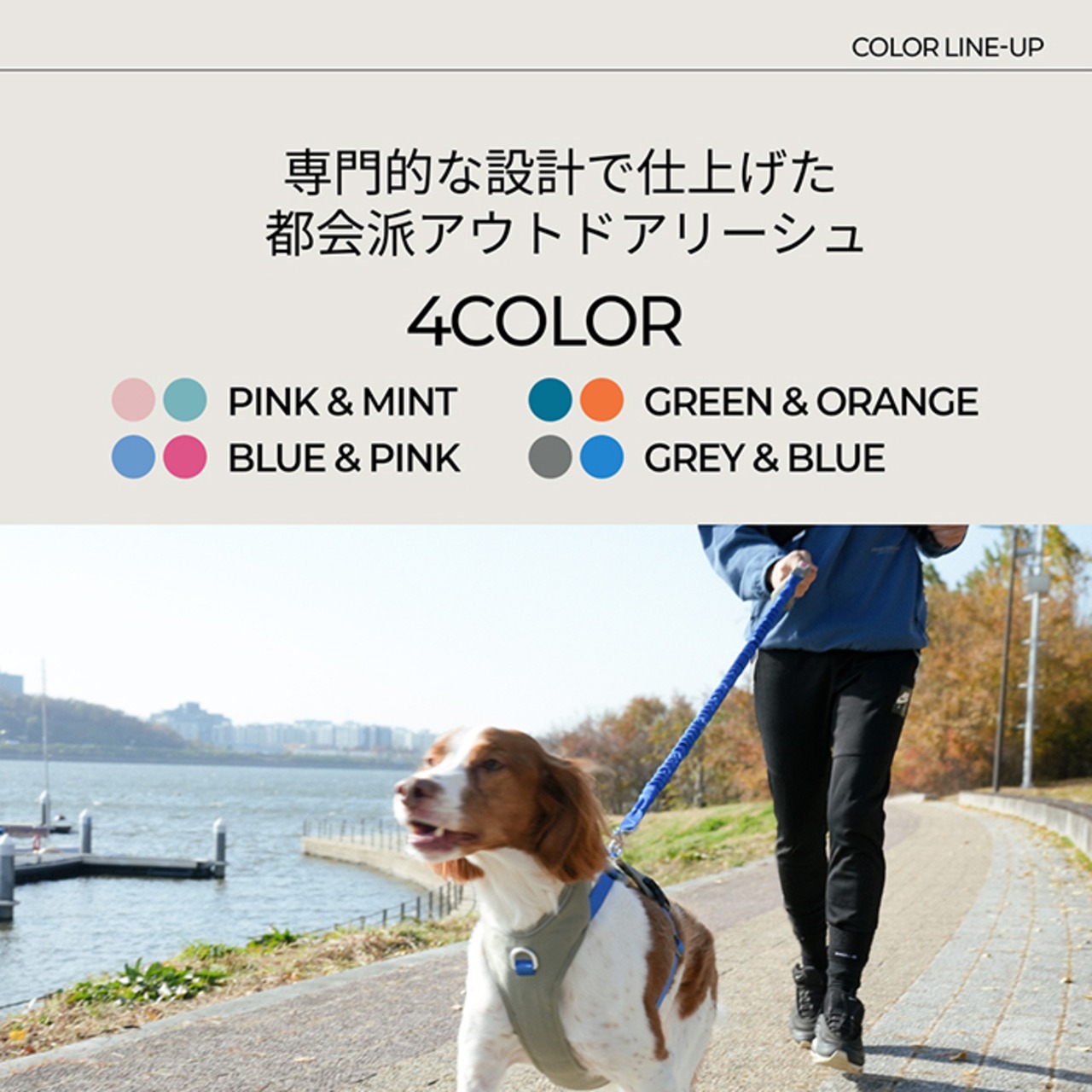 ※予約【puppygallery公式】Momentum - Basic Leash バンジータイプ 幅 2.5cm 長さ 125〜200cm（調節可能）