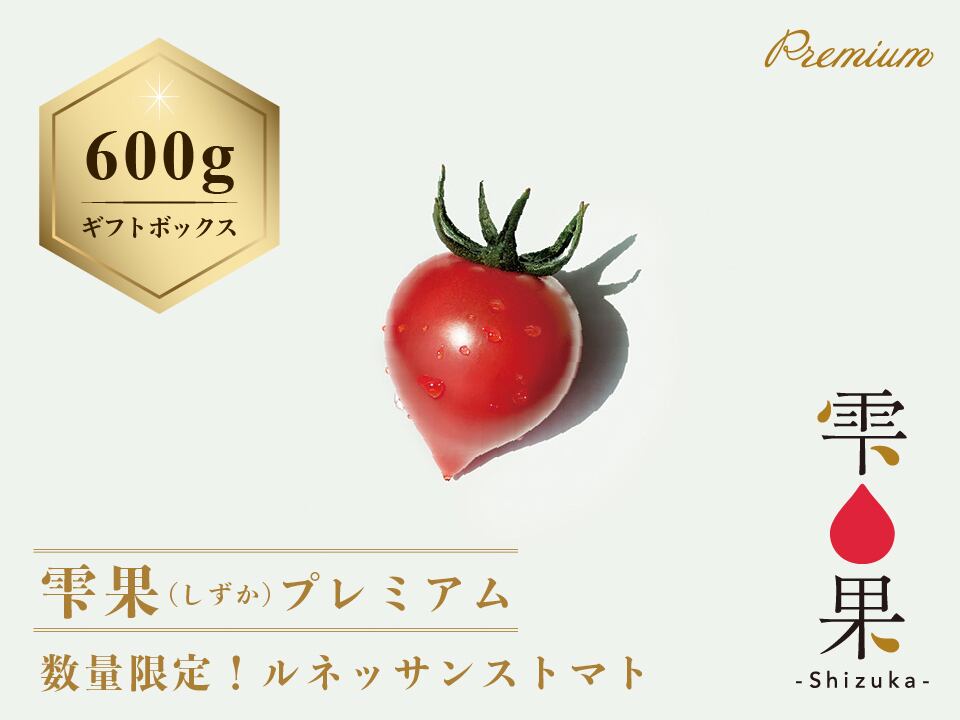 数量限定！ルネッサンストマト【雫果（しずか）プレミアム】600g