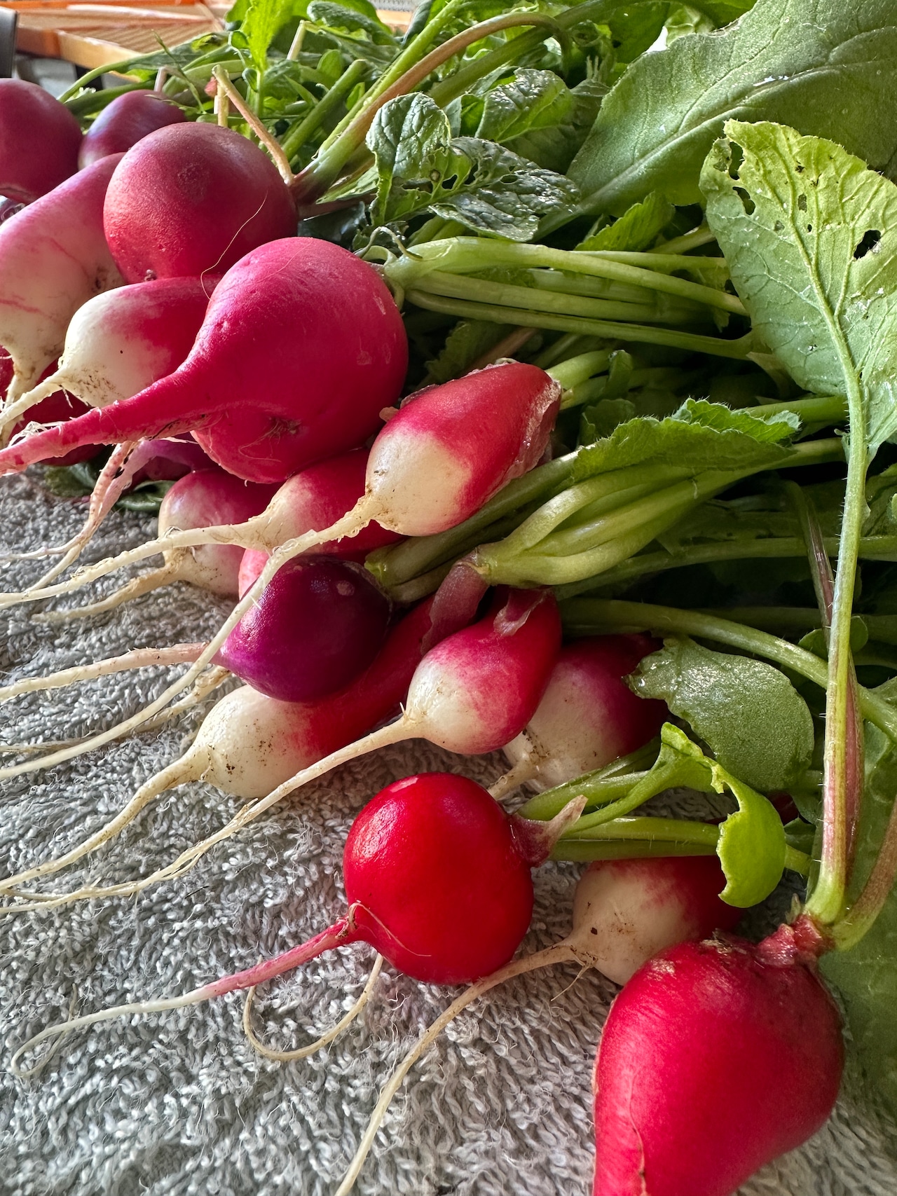 キラピカ旬野菜BOX7~8品【農薬化学肥料不使用】農の島*大三島*よりお届け!