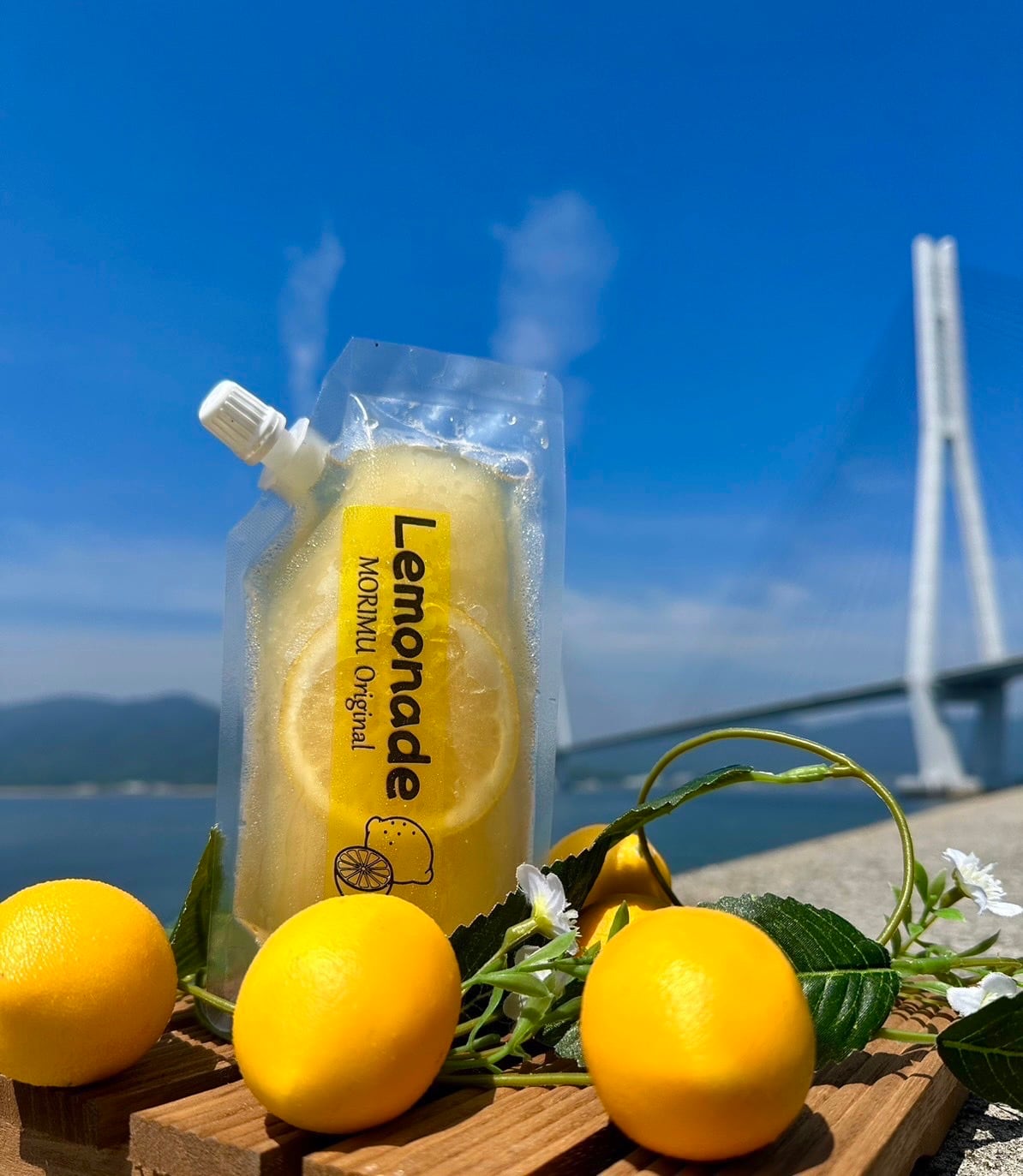 冷凍ジュース 10本セット | 島の駅しまなみ1 ONLINE SHOP