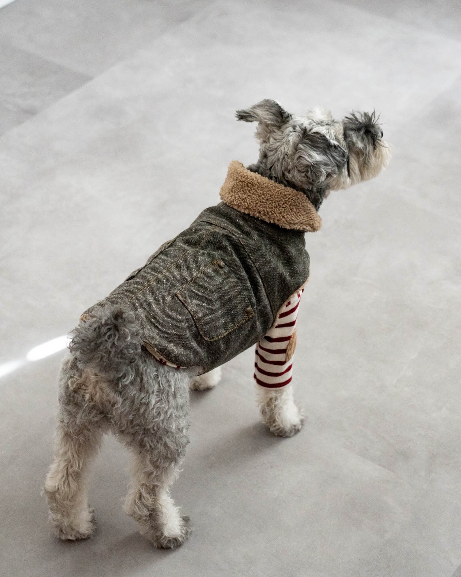 犬服 | Inunobacca