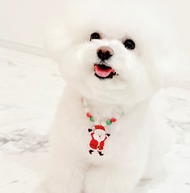 クリスマス＊大きなサンタさんネックレス