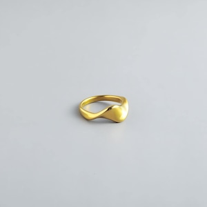 316L nuancer ring  #r87