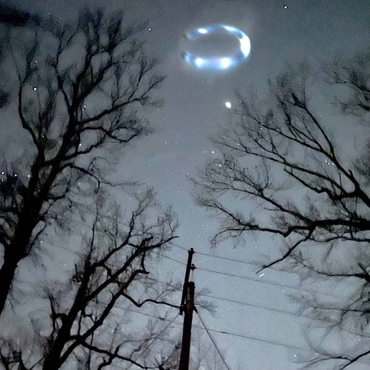 Winter & Hooky / Water Season(Ltd Blue Cassette)