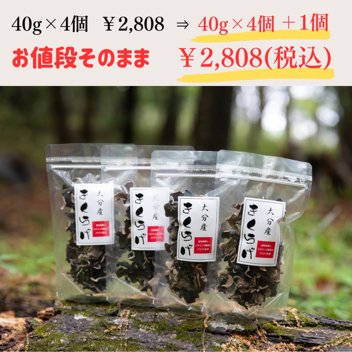 大分産 一口サイズきくらげ 40g×4個＋1個 合計5個 | 大分乾物