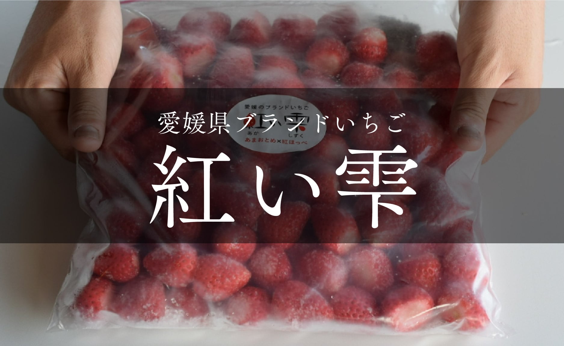 冷凍】えひめのイチゴ！紅い雫 1kg〜5kg | わらしべ。
