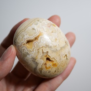 クレイジーレースアゲート イエロー / パーム