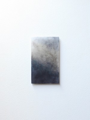 小川 真由子  Mayuko Ogawa  |  34 平面作品