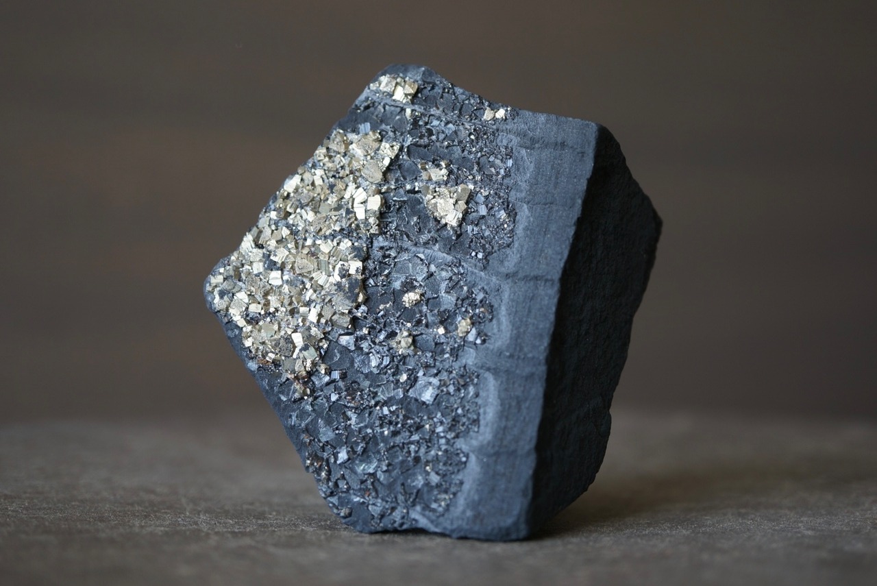 パイライト/シュンガイト Pyrite / Shungite 1193