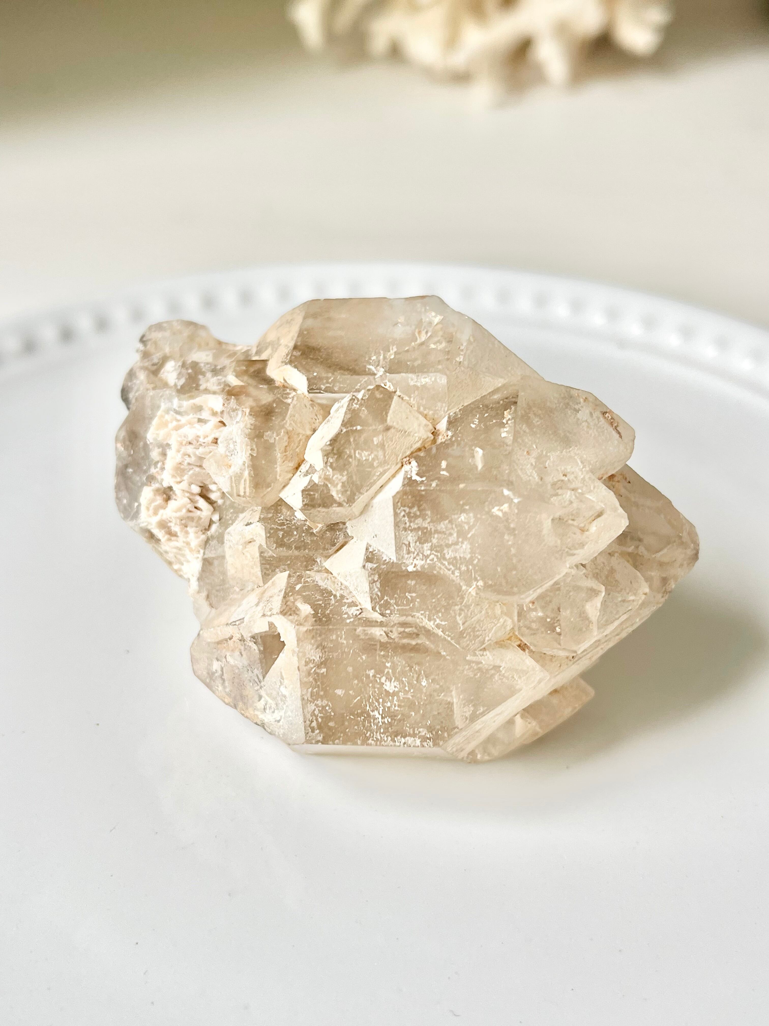 ブラジル産ジャカレー水晶/ Jacare quartz,Elestial,Alligator quartz