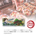【受注生産】のれん 美味しい 鰹のタタキ/かつおのたたき/鰹の藁焼き Ukiyo-e Style 85×30cm