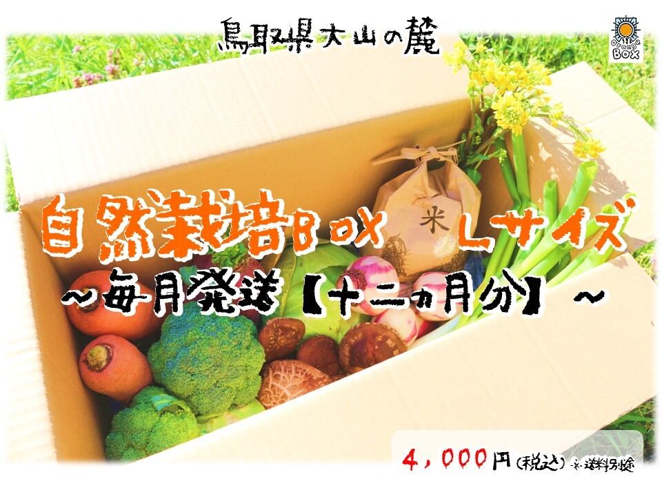 定期便～毎月発送～】大山野菜Box Lサイズ ※定期便のため500円分野菜