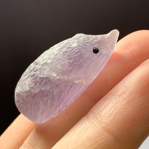 98優しいグラデーションフローライトハリネズミさん