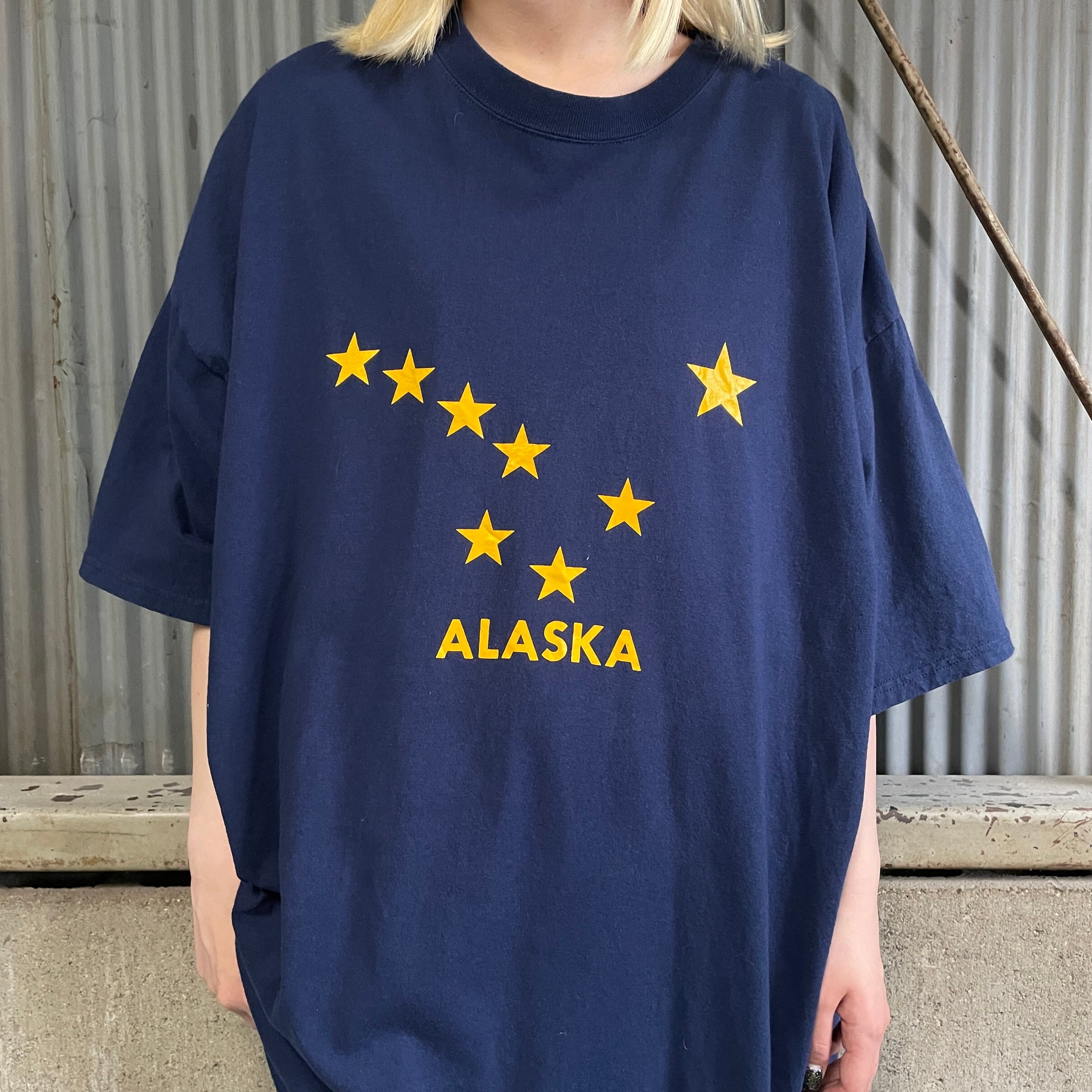 ビッグサイズ ALASKA 星 スター 州旗 ロゴプリント スーベニアTシャツ 