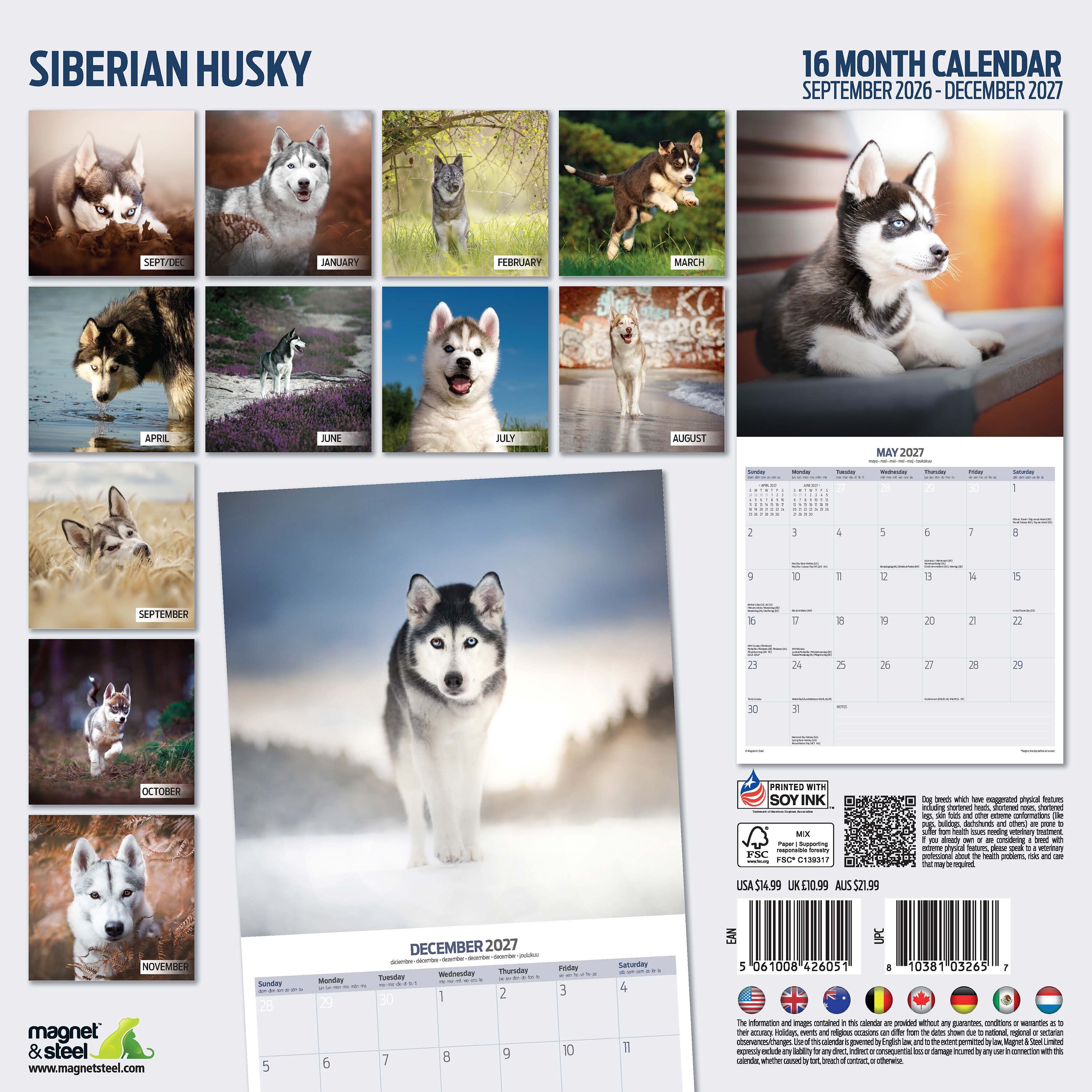 【2027年版】英国製犬種カレンダー【シベリアンハスキー】Traditional 2027年版